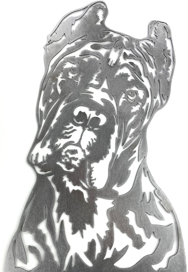 Cane Corso